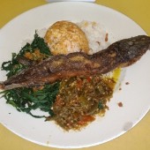 nasi lele goreng sayur