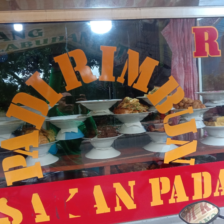 nasi telor dadar