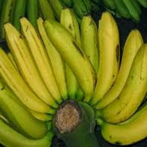 pisang