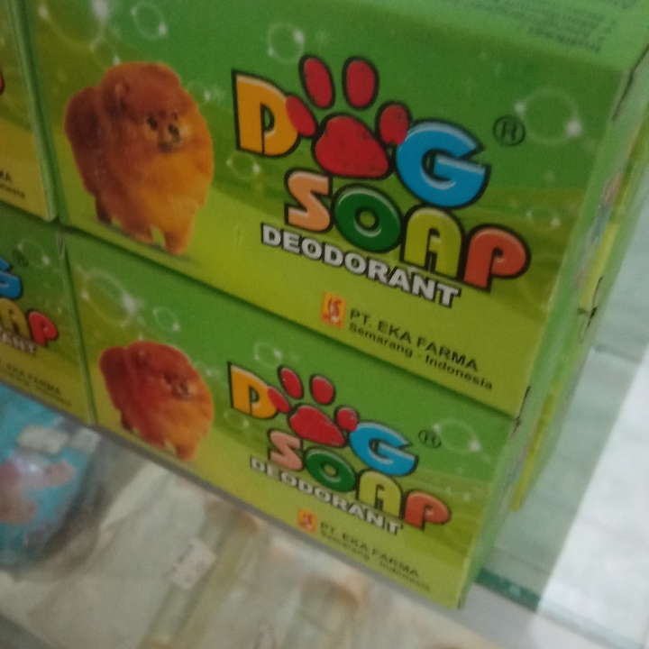 sabun anti kutu
