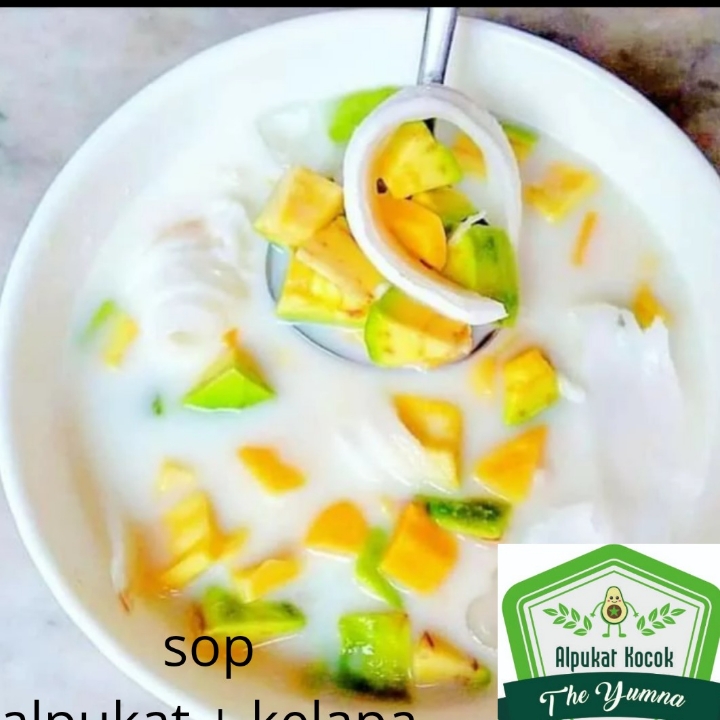 sop alpukat kelapa
