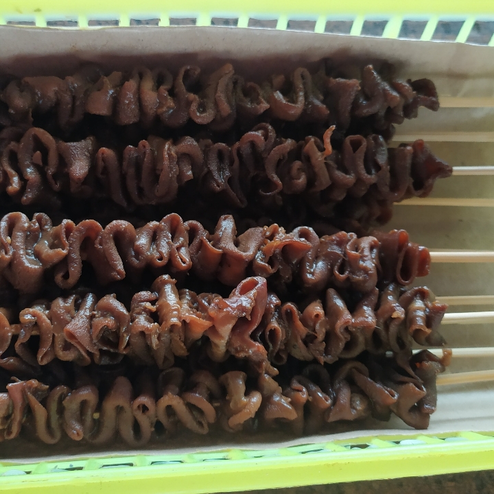 sudukan usus