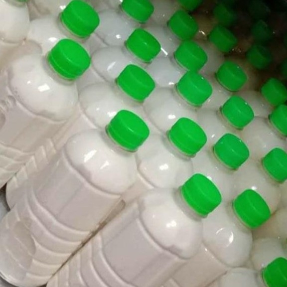 susu kambing segar