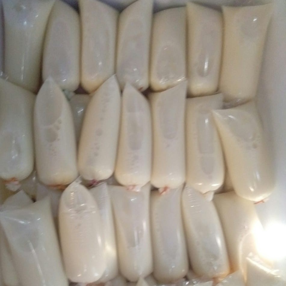 susu kedelai