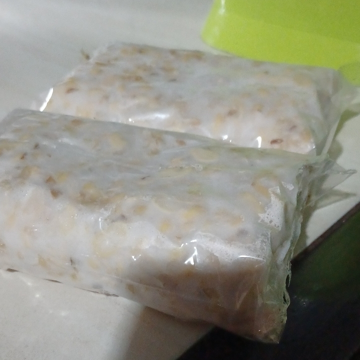 tempe Seger gaess 