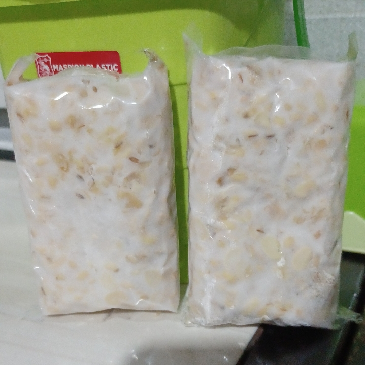 tempe Seger gaess  2