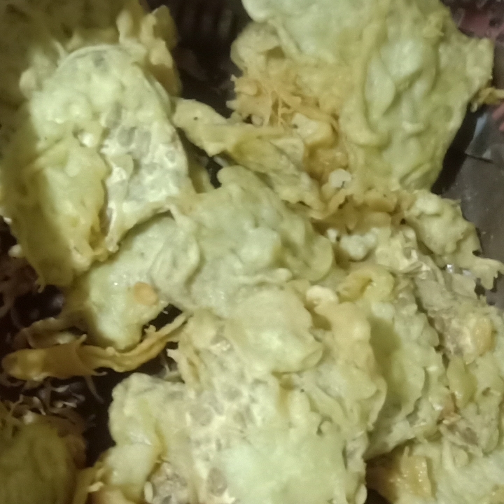 tempe goreng