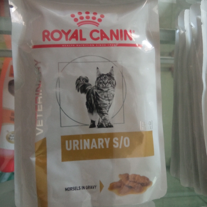 urinari 