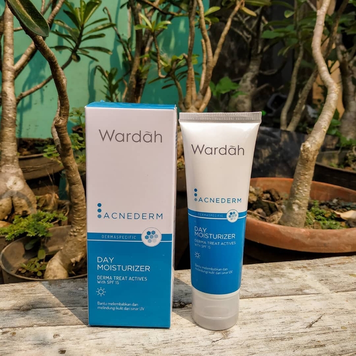 wardah acnederm day cream