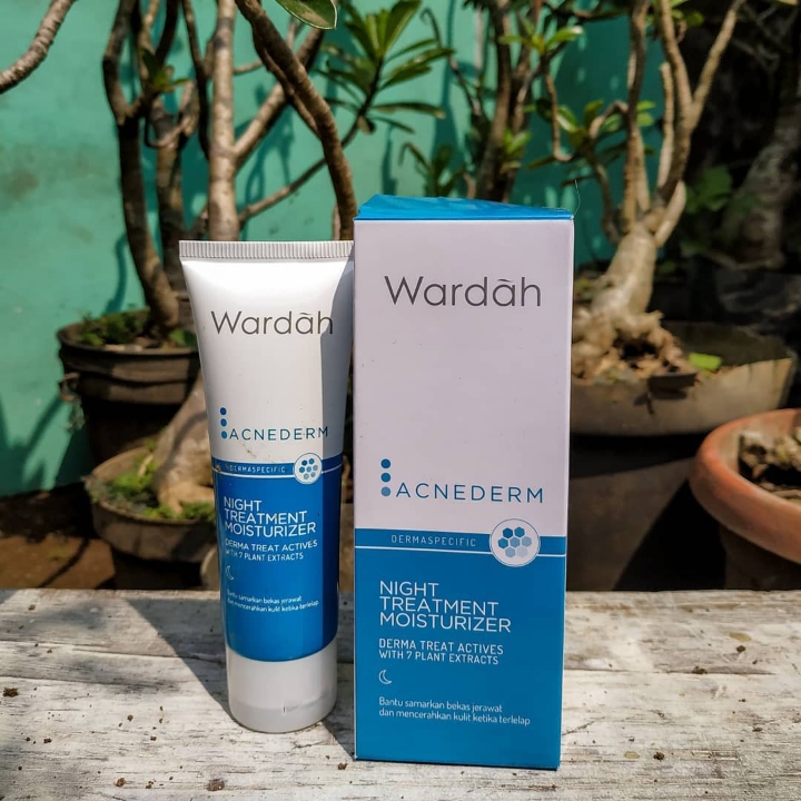 wardah acnederm night cream