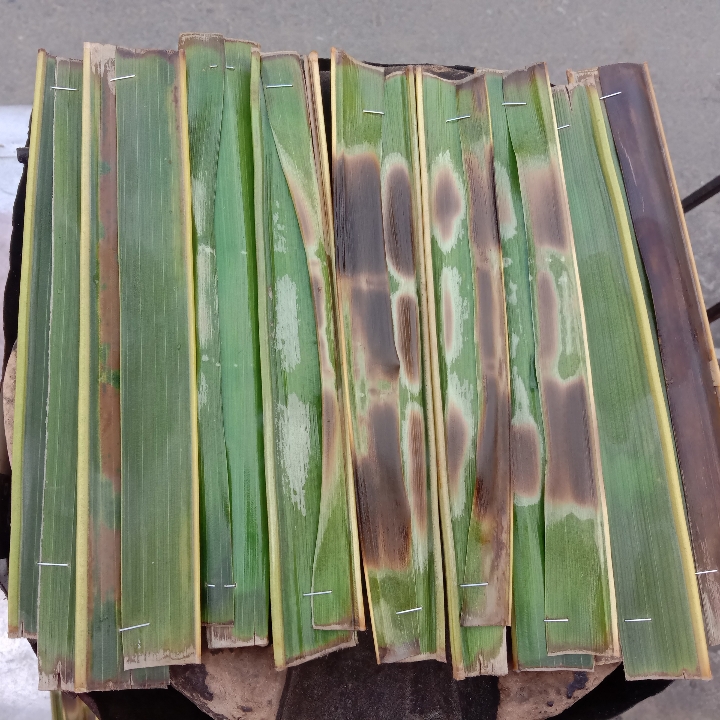 waroeng OTA2 haji said