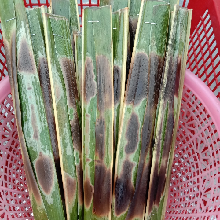 waroeng OTA2 haji said 2