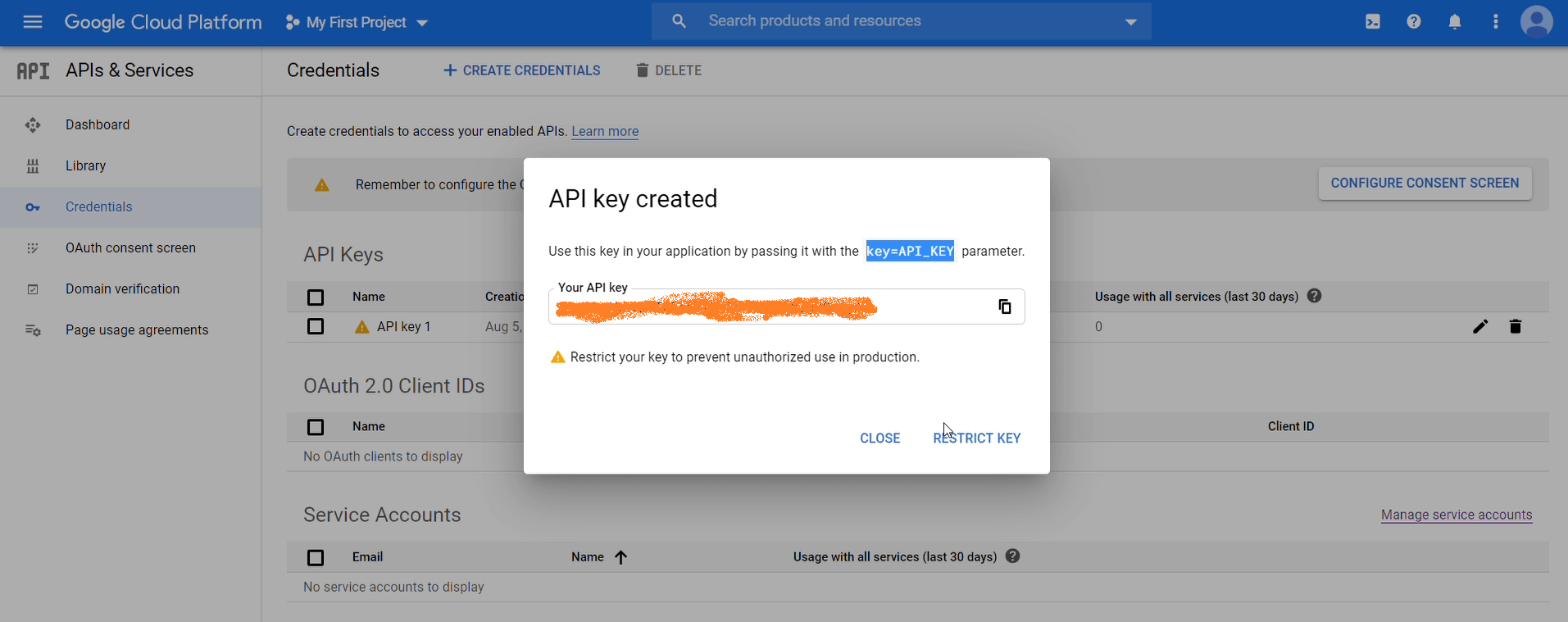 Google maps api key memberikan batasan credentials 2