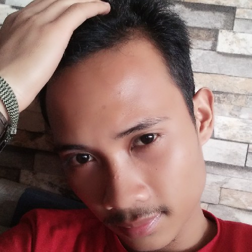 Muhammad Zulfikar