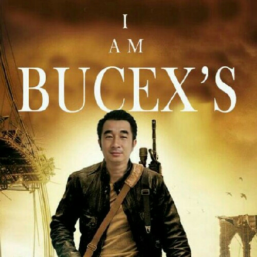 bucex