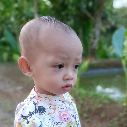 diah nf