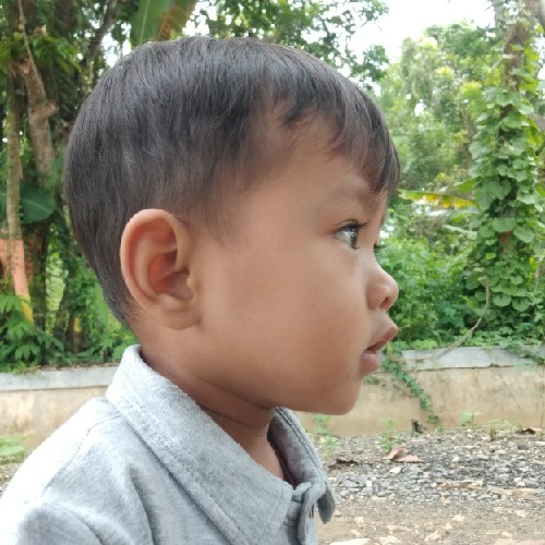 gibran