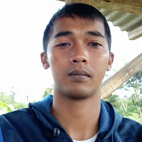 septy nurwildan